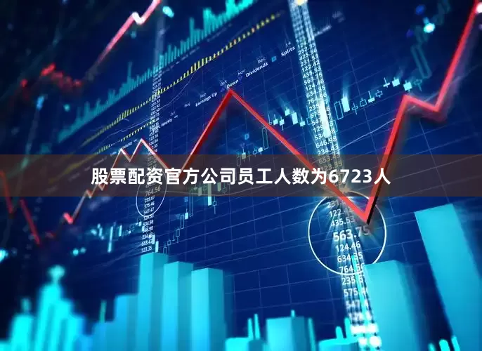 股票配资官方公司员工人数为6723人