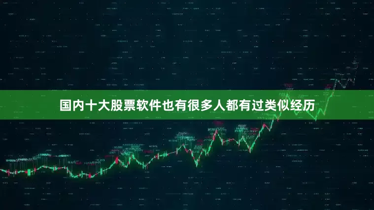 国内十大股票软件也有很多人都有过类似经历